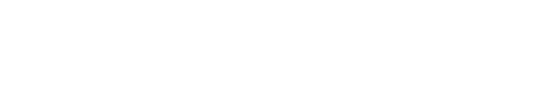 Autonoedge White Logo